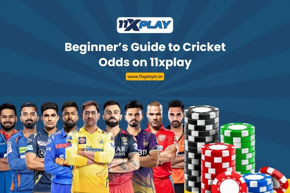 Beginner’s Guide to Cricket Odds on 11xplay